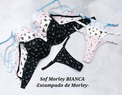 Conj. armado morley PACK X6 y X12 unid