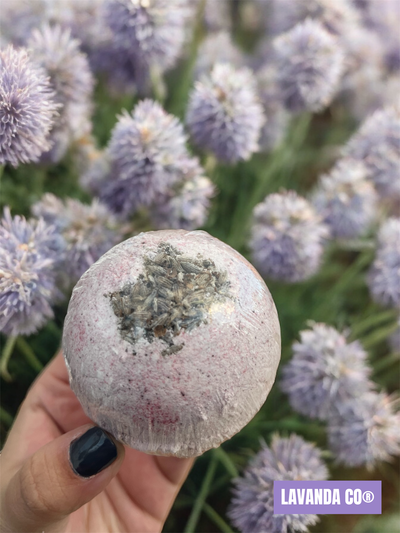 Bomba lavanda