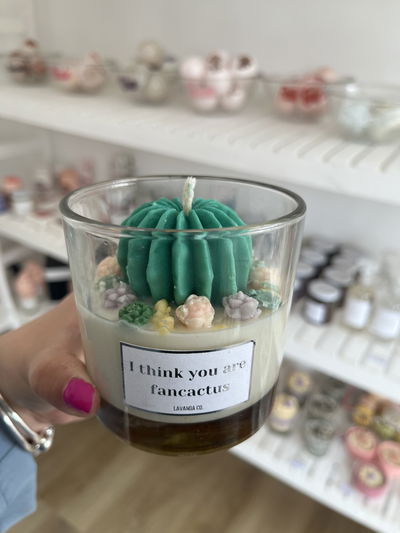 Vela cactus y suculentas