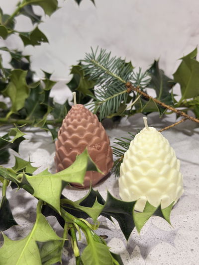 Vela piña navideña