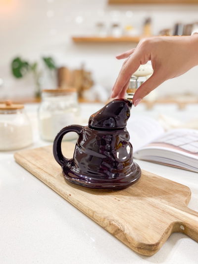 Sombrero seleccionador Harry Potter - C184