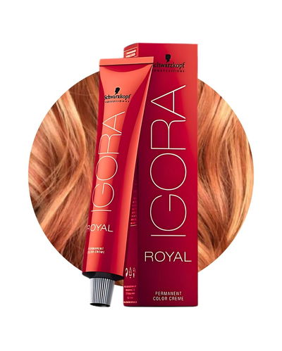 IGORA ROYAL RUBIOS 60ML (Gama: Rojizos, Cobrizos,Violeta, Beige Chocolate, Cendre)
