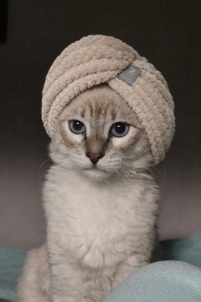 Turbante de toalla con elastico