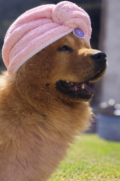 Turbante de toalla con boton