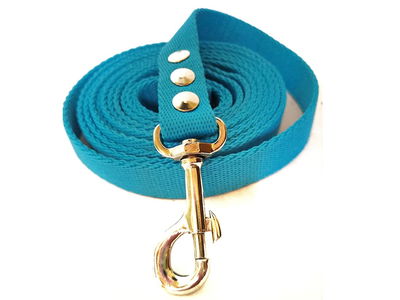Correas comunes 