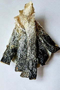 Salmon Skin (Petnara)