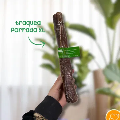 Traquea Forrada