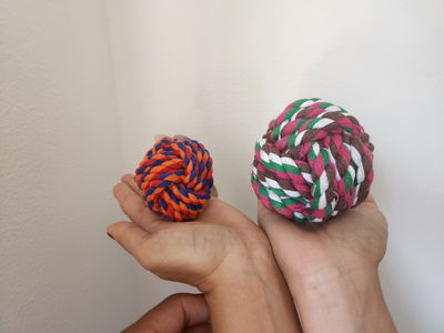 Pelota de soga