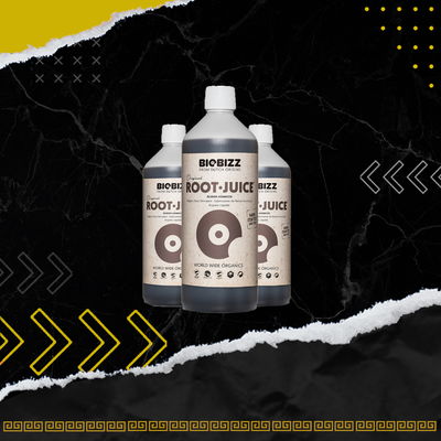 ROOT JUICE - BIOBIZZ
