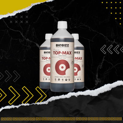 TOPMAX - BIOBIZZ