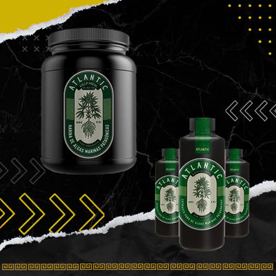 COMBO ATLANTIC - BIOESTIMULANTE + FERTILIZANTE