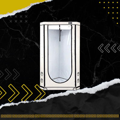 HOMEBOX VISTA TRIANGLE 120 (120 X 75 X 200CM)