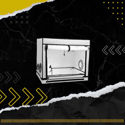 CARPA HOMEBOX (80 X 60 X 70CM)