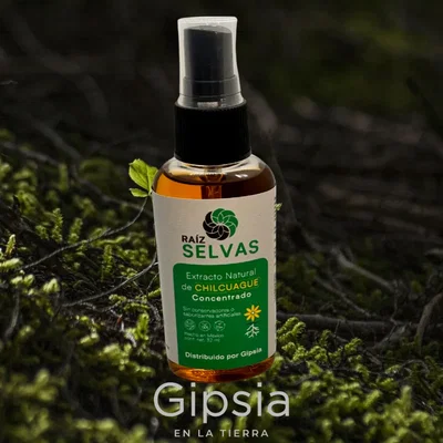 chilcuague 50 ml