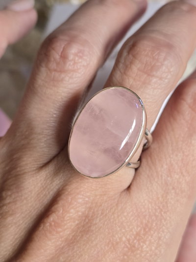 ANILLO ASUNTA