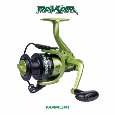Reel Dakar 4000 - Maruri