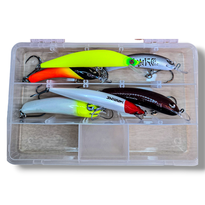 Combo Dorado Paleta 1 + Caja Zest 270 - CAJA #343