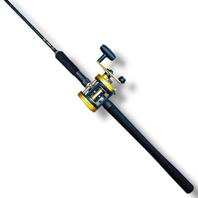 Combo Surubi/Dorado Caña Evolution G3 2.13m 20-40lb + Reel Magna 5000 5.2:1 Marine