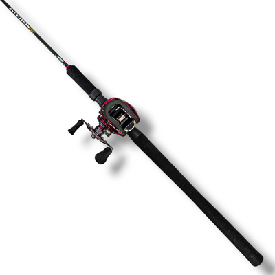 Combo Reel BRISA BG DBS 8ROL 7.2:1 2023 + Caña EVOLUTION G3 2.13m 15-30lb 2T Marine