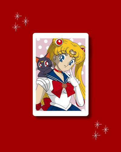 Cuadro Sailor Moon