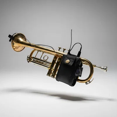 PORTABODY PARA TROMPETAS Y TROMBONES