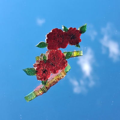 Rosas dúo