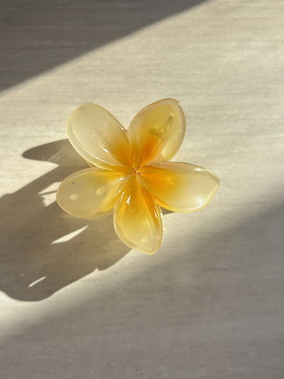 Broche KAILANI yellow (small)