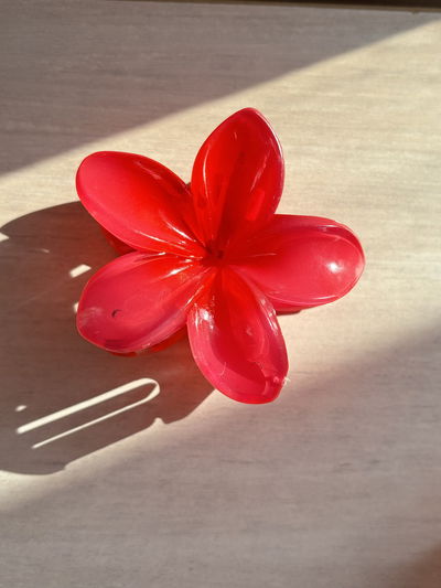 Broche KAILANI strong red