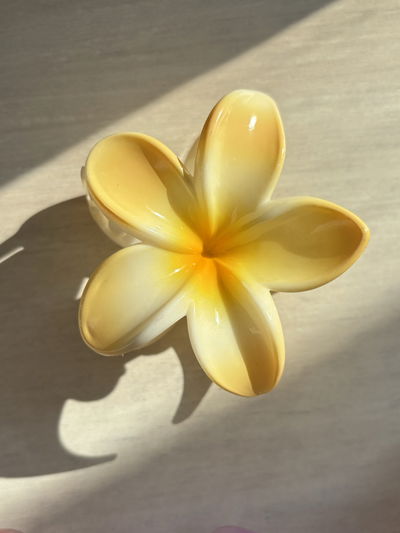 Broche KAILANI calm