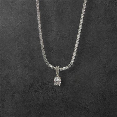 Collar Shine