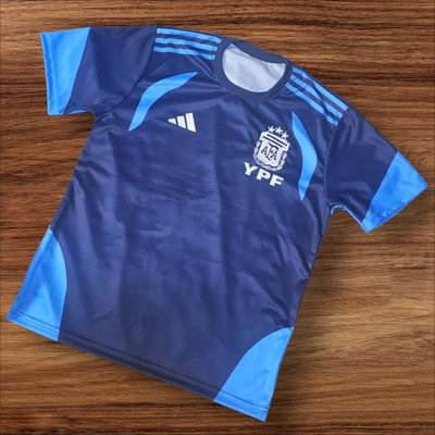 Camiseta Entrenamiento 