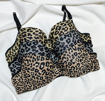 Conjunto 13