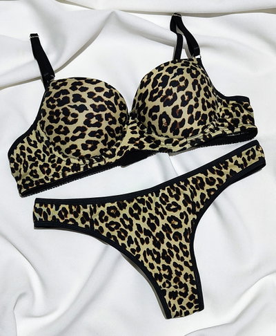 Conjunto 13