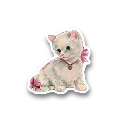 Gatita blanca cute