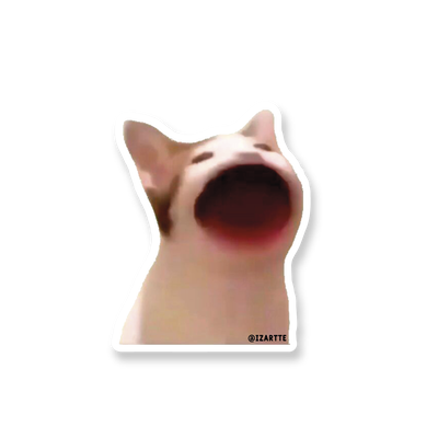 Gatito ploop