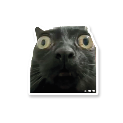 Gatito zoom