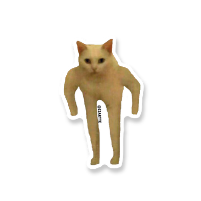 Gatito kieto