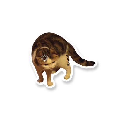 Gato recalculando 