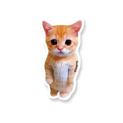 Gatito parado