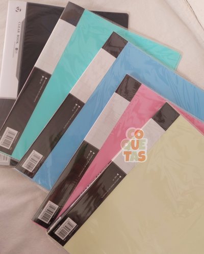 CARPETA CON FOLIOS X10 A4