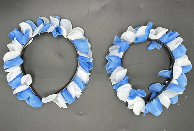 Vincha Flores Argentina - 12 unidades