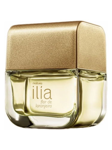 Ilia flor de laranjeira