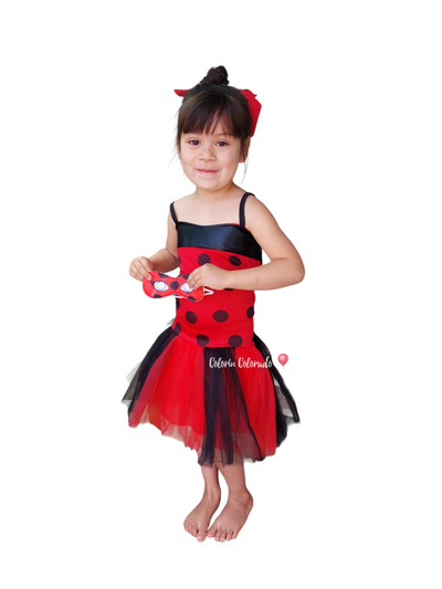 Disfraz Lady Bug Solero Superheroína