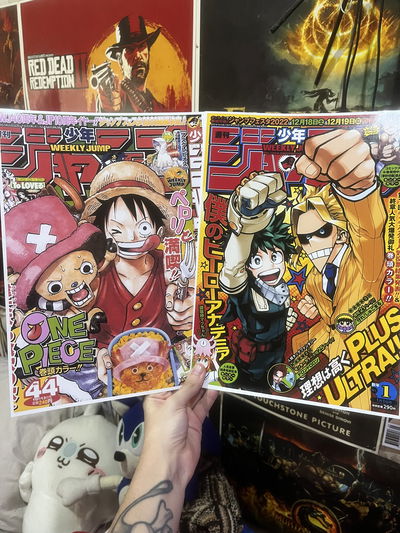 Posters One Piece y Boku no Hero