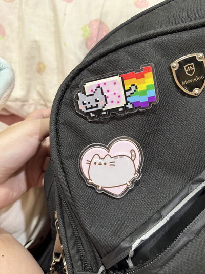 Pines acrilico Pusheen y Nyan cat