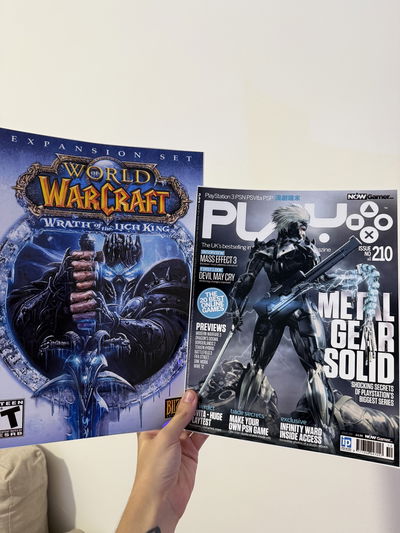 Poster World of Warcraft y Metal gear Rising 