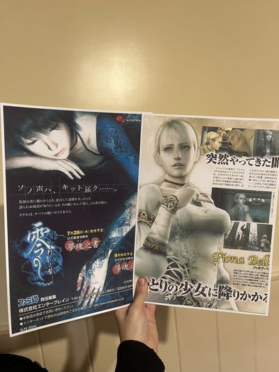 Posters Fatal frame y Haunting Ground