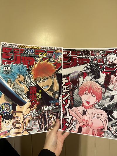 Posters Bleach y Chainsaw man