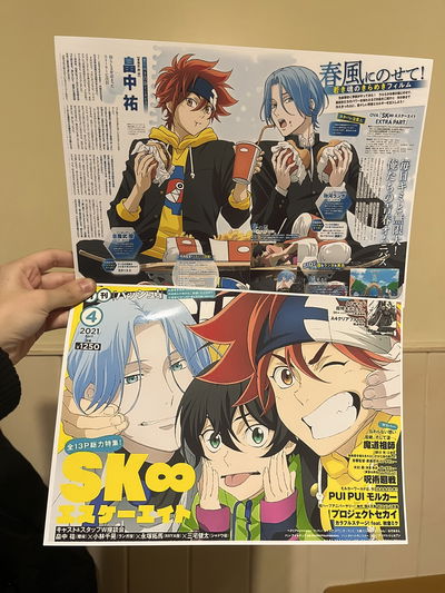 Posters SK8