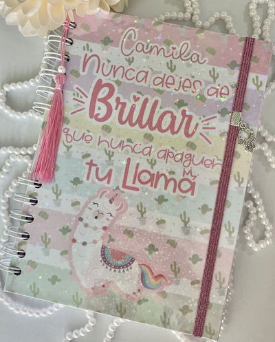 Planner Llama